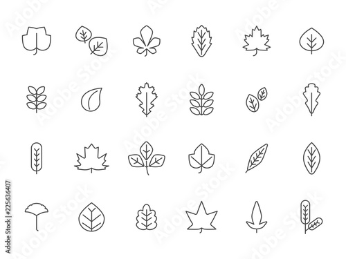 Linear autumn leaves. Pictures of autumn. Nature linear season floral  vector illustration