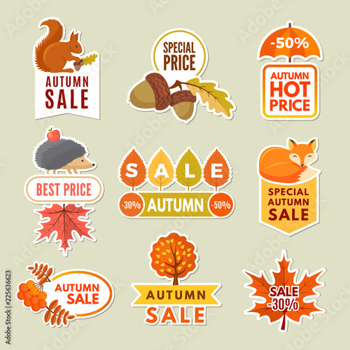 Labels and badges of autumn. Discount stickers of autumn big sales with fox, acorn hedgehog and rowan. Vector orange and yellows leaves. Discount poster autumn sticker illustration