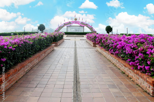Fototapeta Naklejka Na Ścianę i Meble -  pink flowers on streetside and blue sky background.Flower garden on the dam of thailand