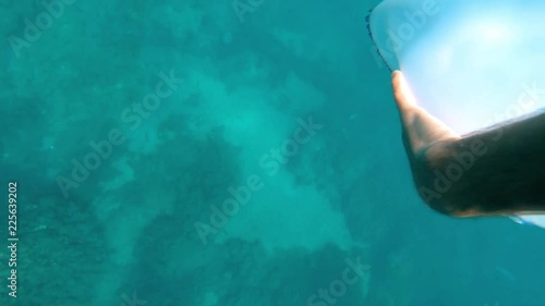 Big white jellyfish.Guy touches a floating jellyfish.The inhabitant of the seas. photo