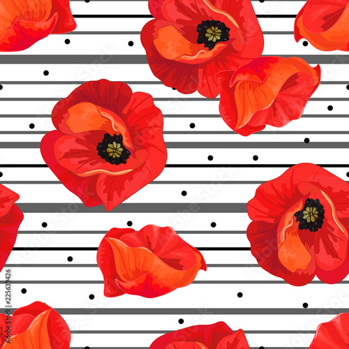 Fototapeta Naklejka Na Ścianę i Meble -  Red poppies on a white background with black stripes.