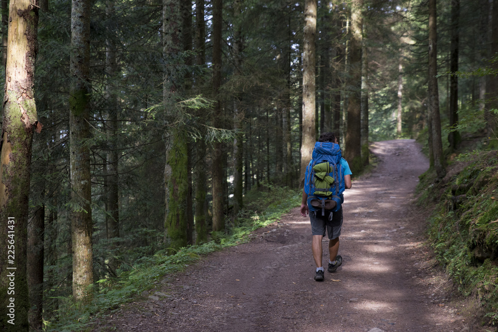 Obraz premium Man walking through a forest with his trekking backpack