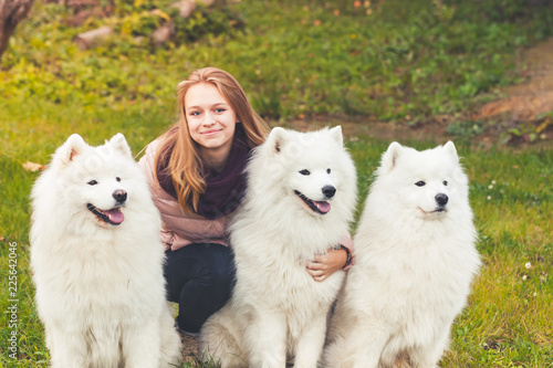 Girl with three white Samoyed dogs