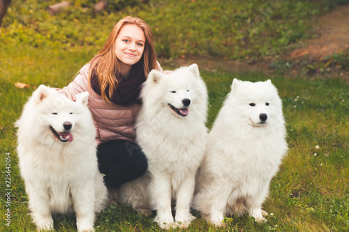 Happy girl sitting with white Samoyed dogs