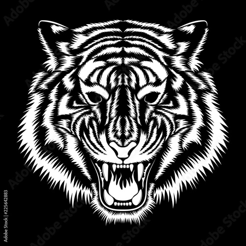 Vector image of a white tiger muzzle on a black background.