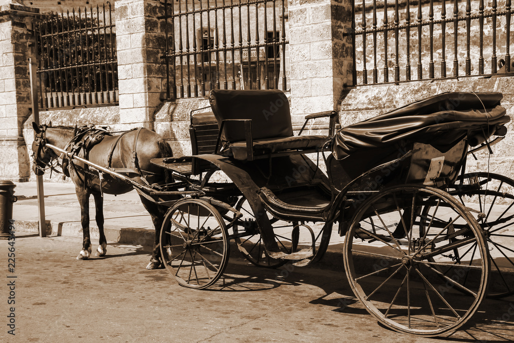 Horse and vintage coach waiting the passengers close to fence, outdoors. Cuba, Havana, sepia, retro-effect.