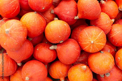  Red Kuri Squash on a farmers market