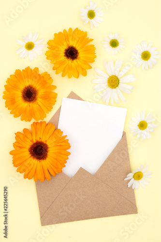 Envelope of kraft paper with a blank message and with beautiful daisies flowers