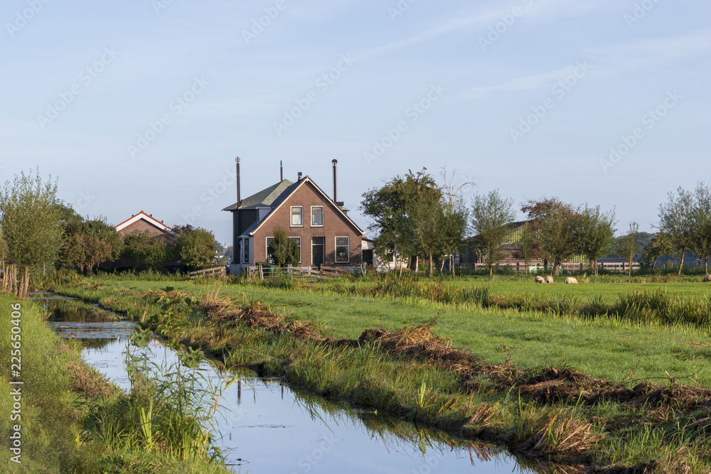 Farm in the meadow landscape with ditch in the foreground in the morning light in autumn. Farm in the meadow landscape with ditch in the foreground in the morning light in autumn.