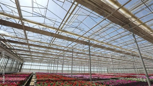 Wallpaper Mural View of upwards through the top of industry greenhouse, watering lines and lighting equipment in a nursery for growing flowers in industrial greenhouse, greenhouse inside Torontodigital.ca