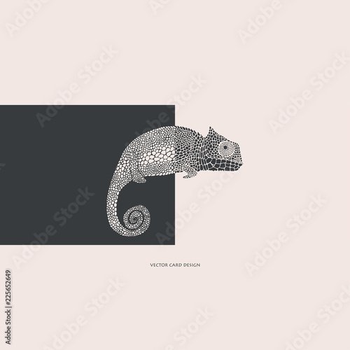 Vector illustration.Chameleon silhouette. Vector card. Cover design.