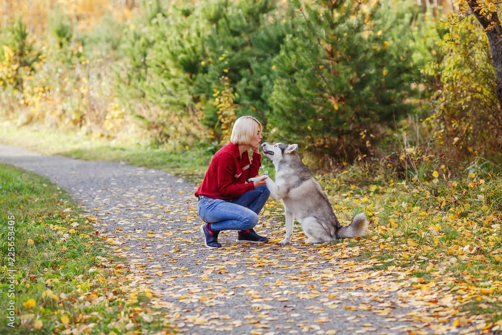 Fototapeta premium Beautiful caucasian girl plays with husky dog in autumn forest
