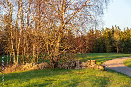 Kvällljus på landsbygden photo