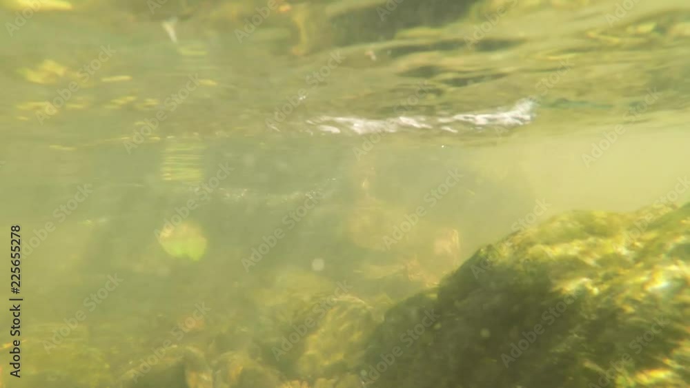 Underwater green river stream of water with rocks Underwater green river stream of water with rocks