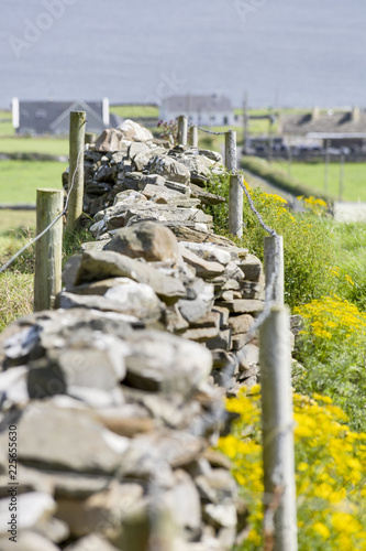 Meadow fence build with natural stones photo