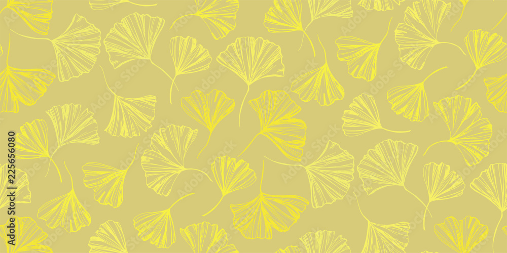  Ginkgo biloba. Autumn leaves. Leaves of the ginkgo tree. Autumn graphics and logo. Medicinal plant.
