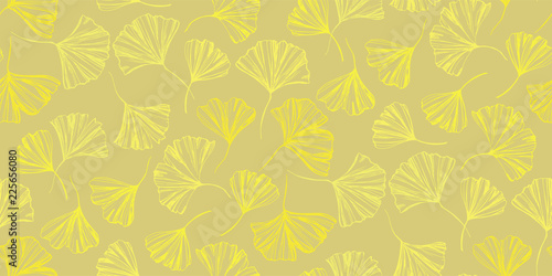  Ginkgo biloba. Autumn leaves. Leaves of the ginkgo tree. Autumn graphics and logo. Medicinal plant. 