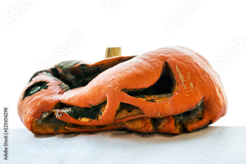 rotten pumpkin after Halloween isolated on white background 