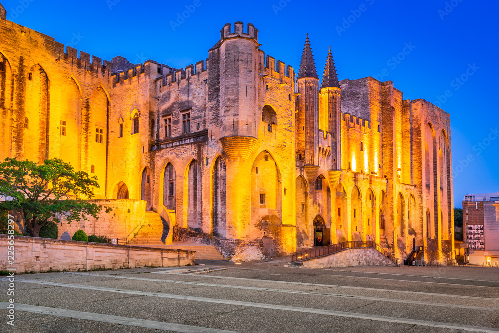 Avignon, Provence, France - Popes Palace
