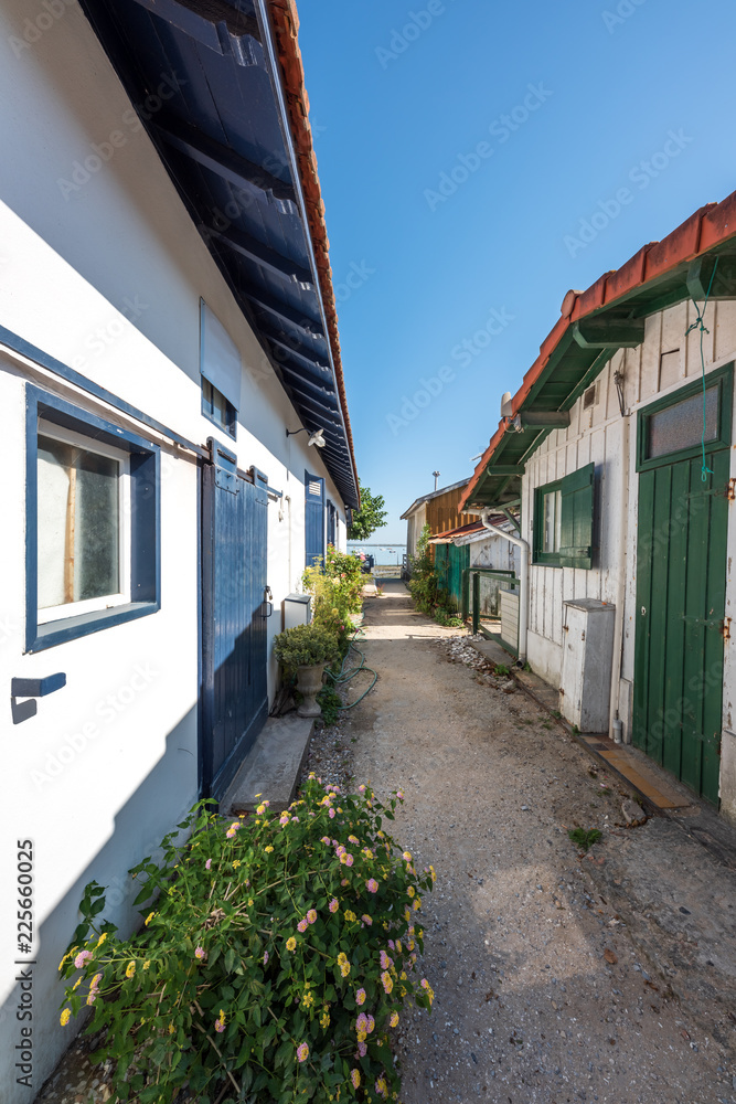 Obraz premium BASSIN D'ARCACHON (France), ville ostréicole