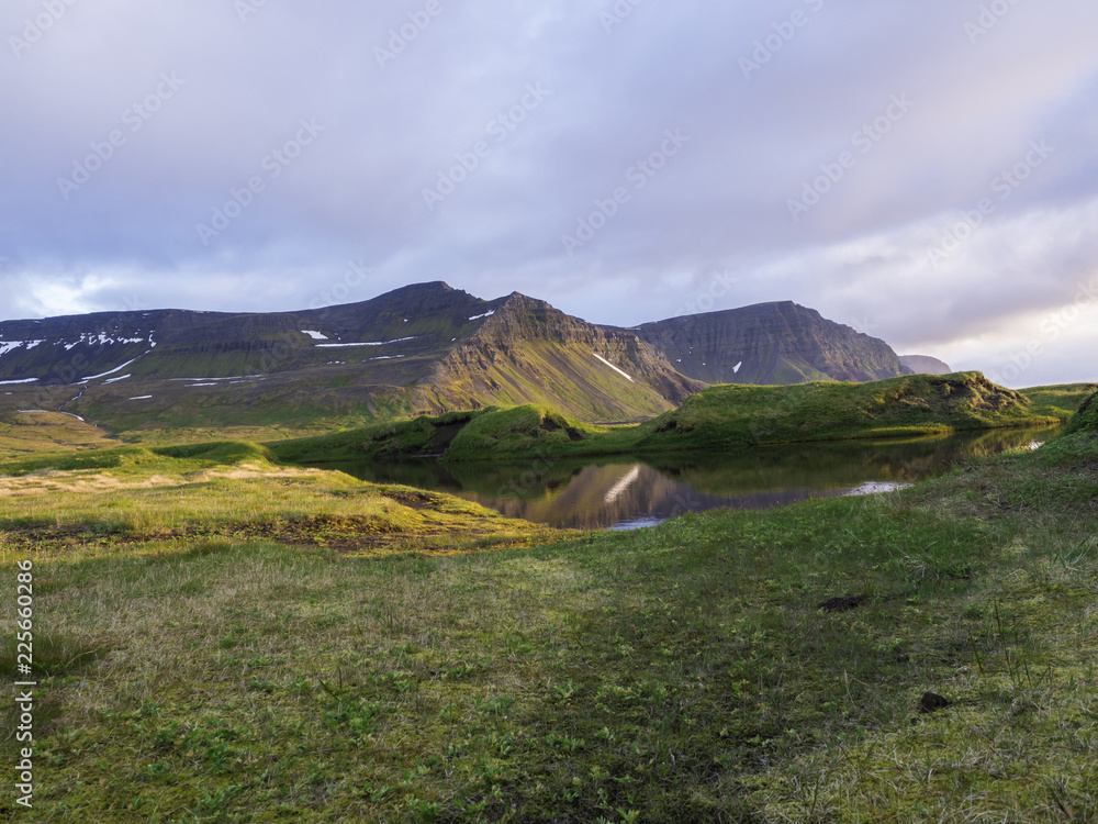 Northern landscape with green grass mossed creek banks in Hornstrandir Iceland, snow patched hills and cliffs, cloudy sky background, golden hour light