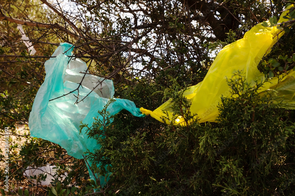 Plastic pollution, plastic bags caught in trees Stock Photo Adobe Stock