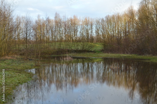 reflectie van bomen in een vennetje in een natuurgebied bij de Kruisbergse bossen