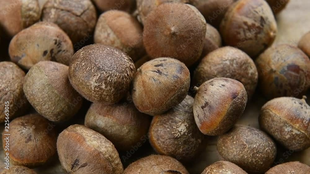 panning thai chestnuts panning thai chestnuts