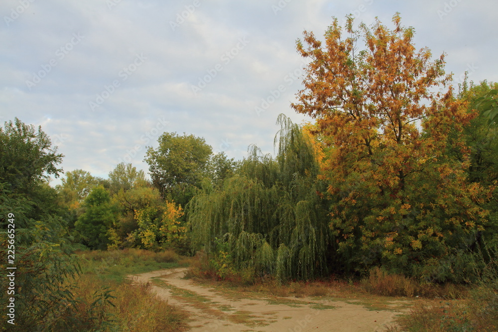 Obraz premium Осень на Зелёном острове.