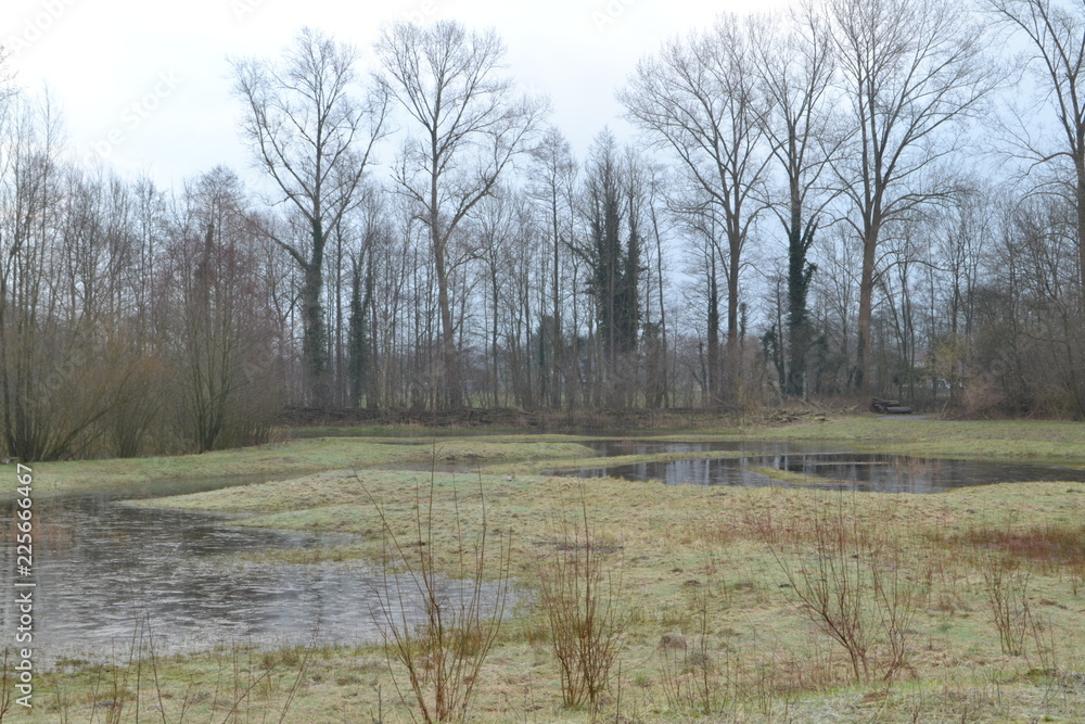 bevroren vennen met hoogwater in natuurgebied bij de Kruisbergse bossen bevroren vennen met hoogwater in natuurgebied bij de Kruisbergse bossen