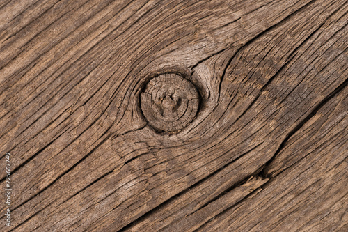 Grey brown wooden texture macro photo. White and grey wood background.