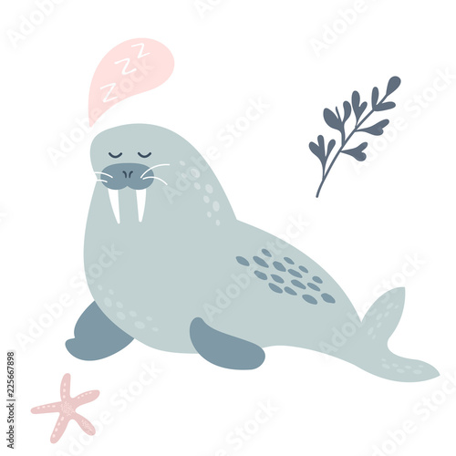 Baby print with dreaming walrus Hand drawn graphic