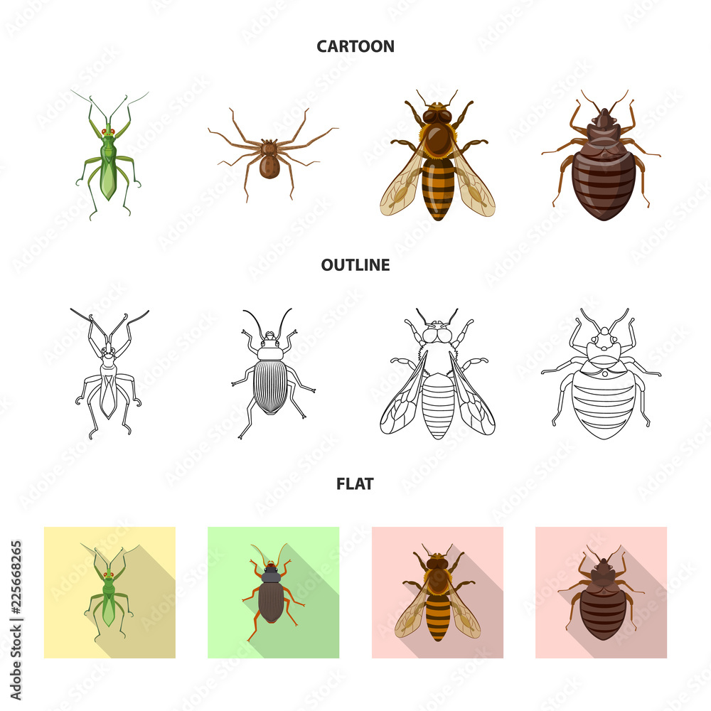 Isolated object of insect and fly symbol. Set of insect and element vector icon for stock. Isolated object of insect and fly symbol. Set of insect and element vector icon for stock.