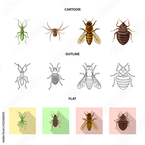 Isolated object of insect and fly symbol. Set of insect and element vector icon for stock. © Svitlana