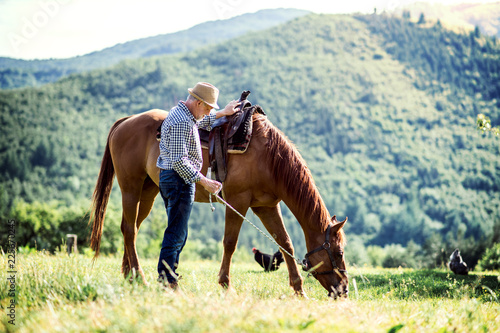 A senior man holding a horse by his lead on a pasture.