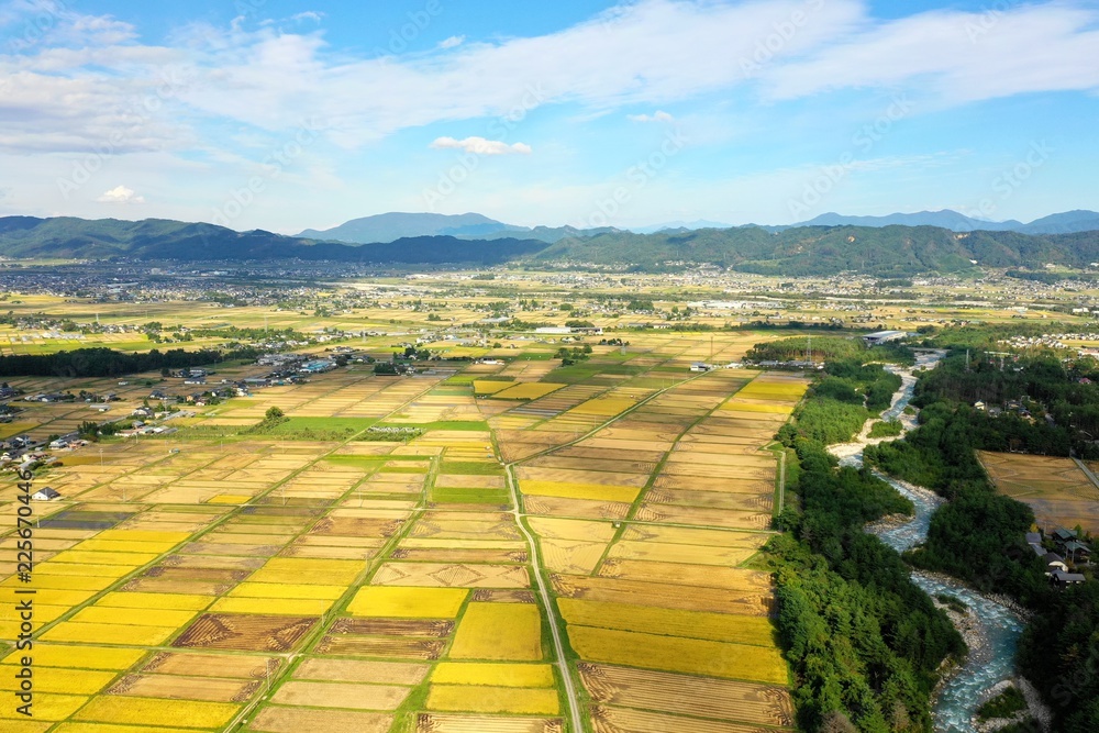 日本の松川村 田園風景 Stock Photo Adobe Stock