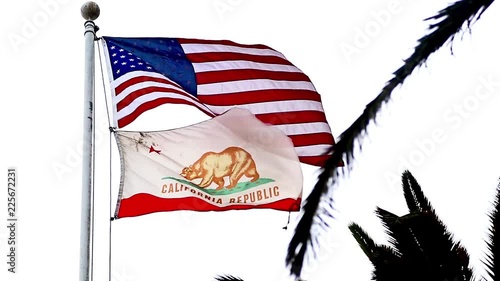 A focus pull from a waving palm tree to the California state flag and US flag in the sky. The sun is shining behind the US flag, rendering in beautiful lighting and flare. photo