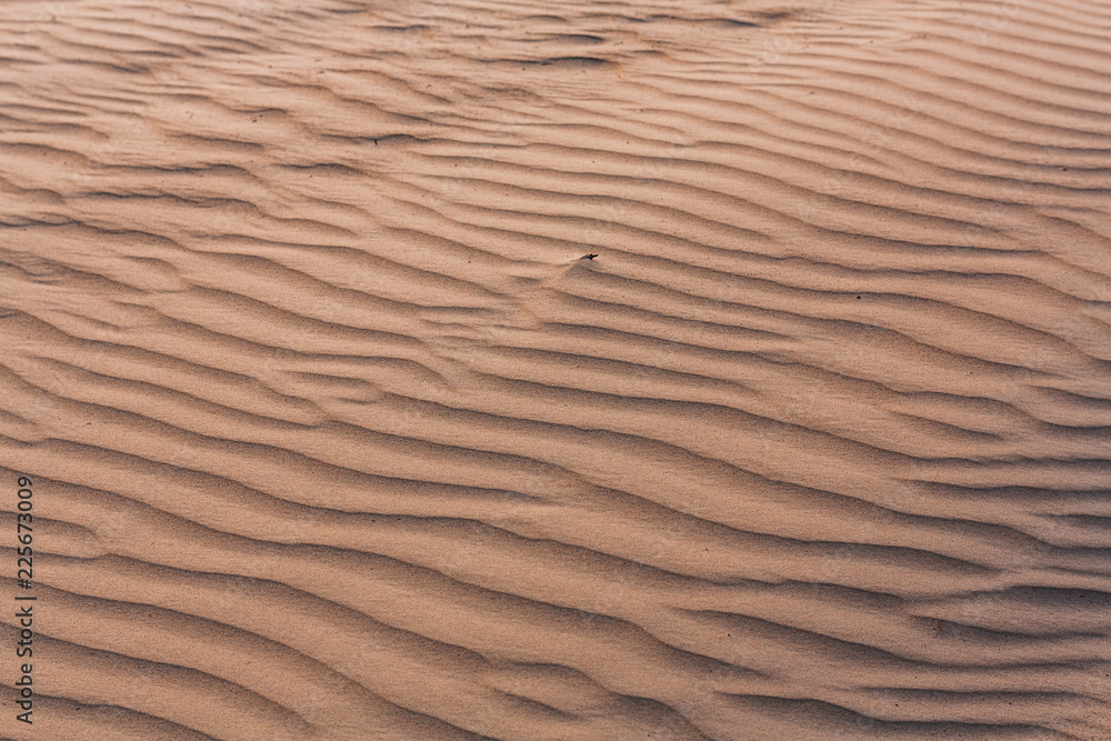 Custom sand coast