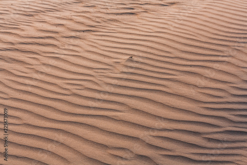Obraz na płótnie Custom sand coast w salonie