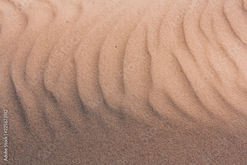 Obraz na płótnie Custom sand coast w salonie