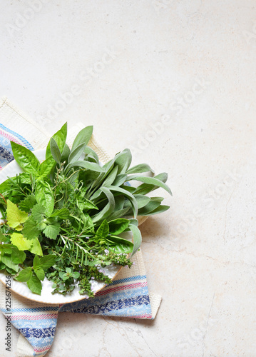 Fresh spicy and medicinal herbs on white background. Bouquet from various herb - rosemary, oregano, sage, marjoram, basil, thyme, mint.