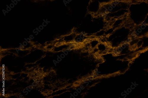 Gold and Black marble patterned texture background.