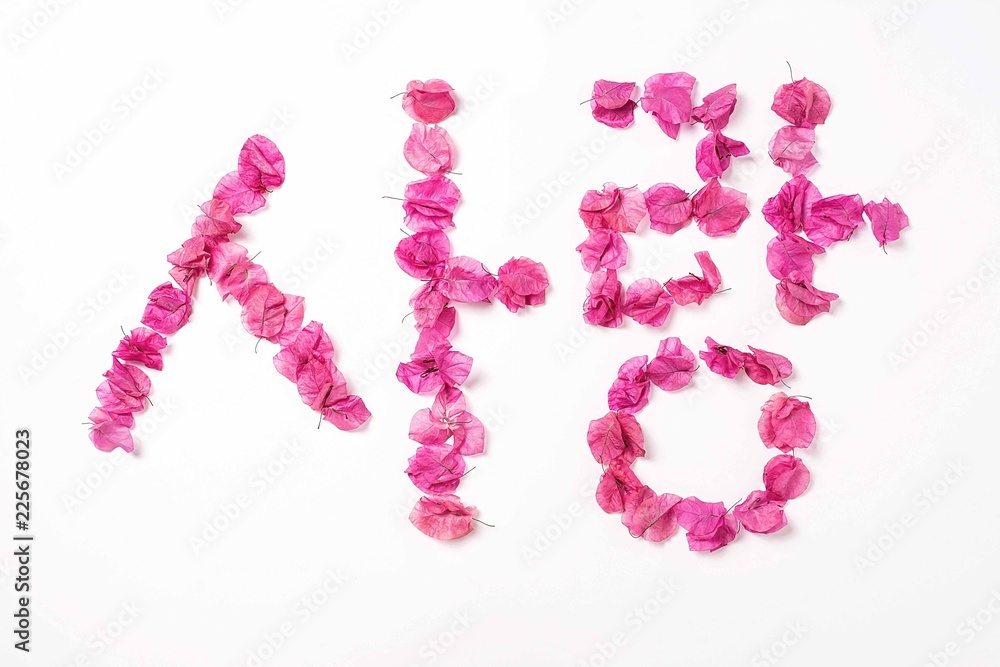 Bougainvillea Mosaic art fonts - Korean love words Bougainvillea Mosaic art fonts - Korean love words