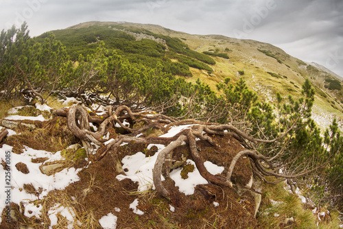 Harm from tourists in the Carpathians photo