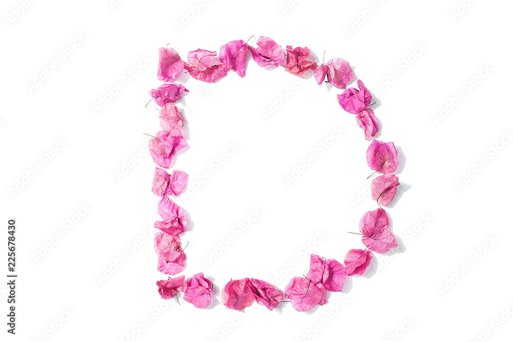 Fototapeta premium Dry triangle plum blossom into letters D
