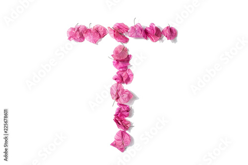 Dry triangle plum blossom into letters T