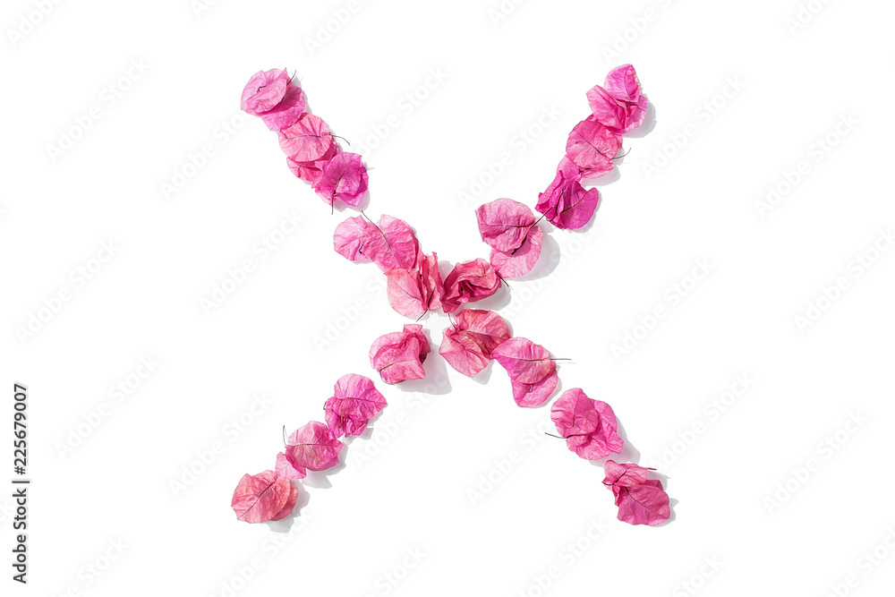 Dry triangle plum blossom into letters X Dry triangle plum blossom into letters X