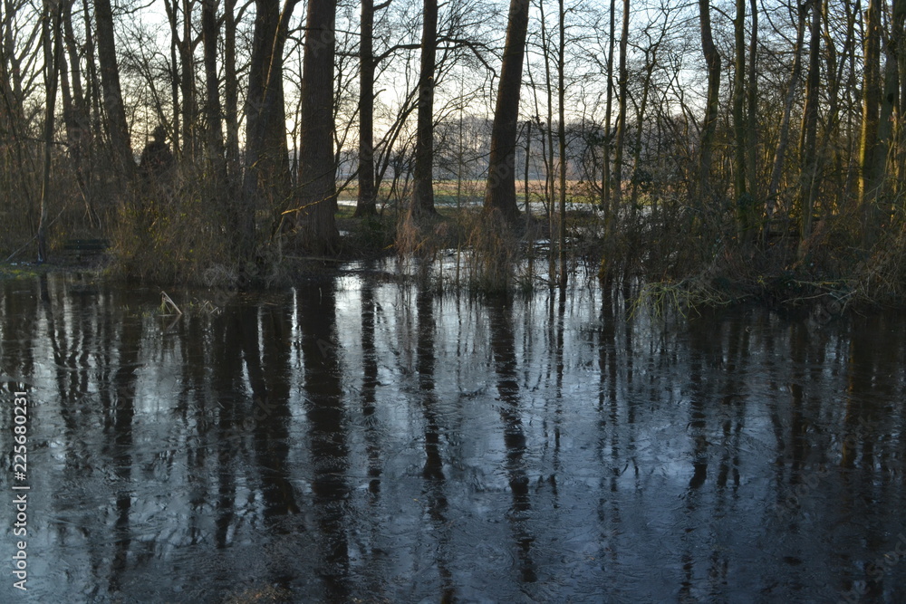 Reflectie van bomen op een bevroren vennetje in een natuurgebied bij de Kruisbergse bossen Reflectie van bomen op een bevroren vennetje in een natuurgebied bij de Kruisbergse bossen