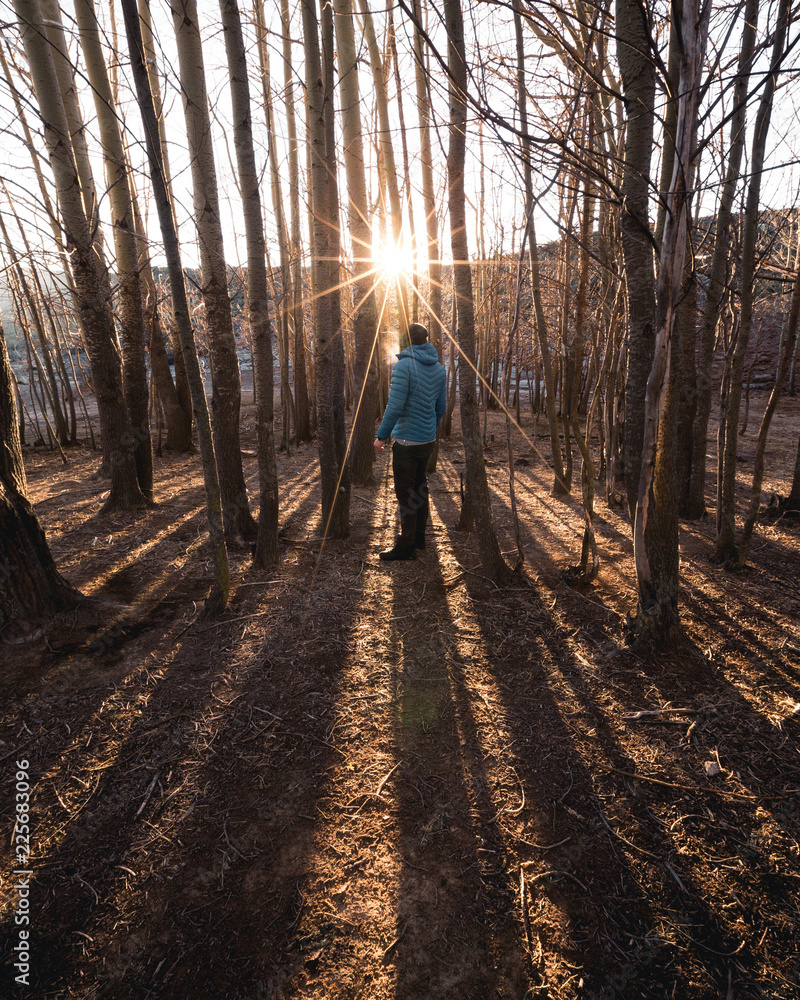 Fototapeta premium Hiker in forest