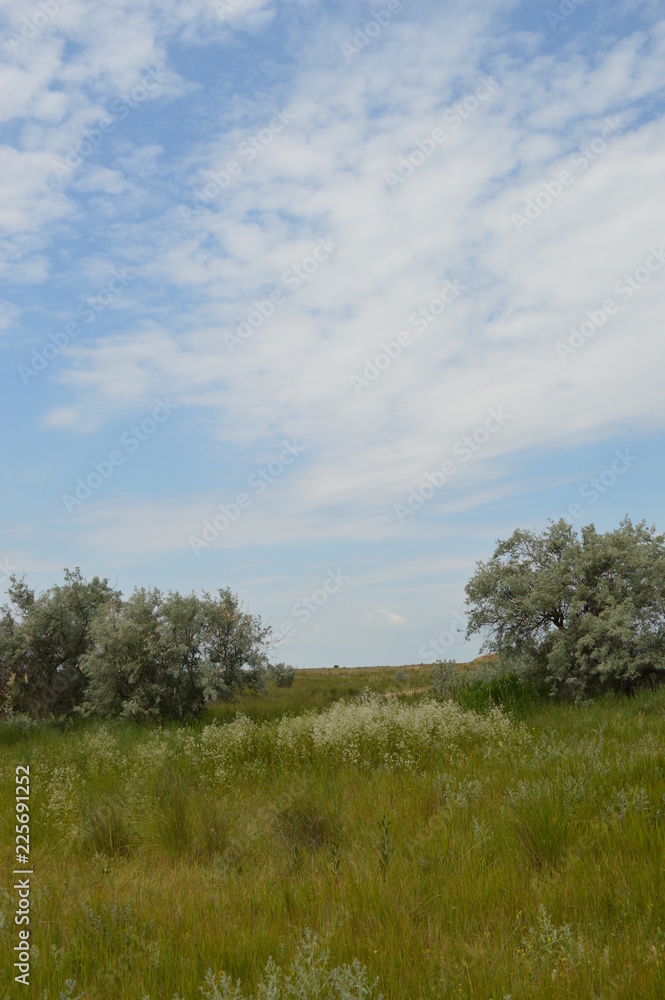 Ukraine.Arabatskaya arrow. Chokrak